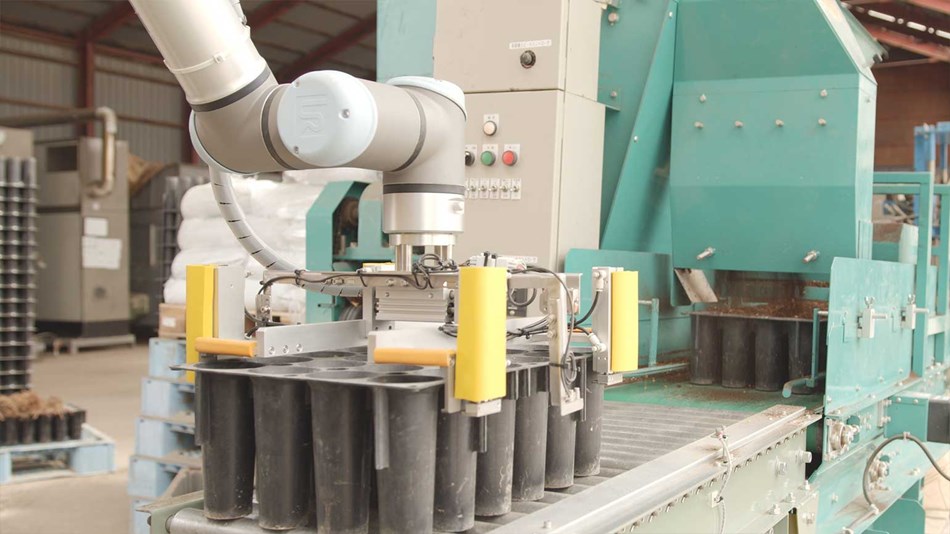 the-containers-are-put-on-a-conveyor.jpg